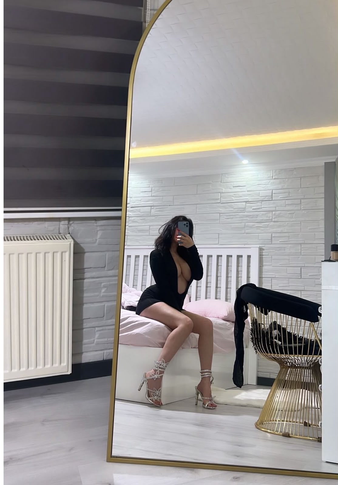 Alya Ve Asu